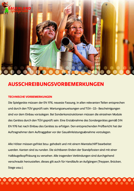 Ausschreibungsvorbemerkungen